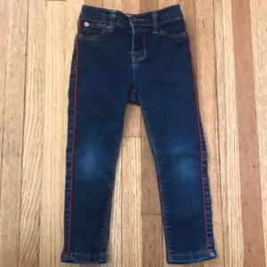 Hudson Pinstrip Jean